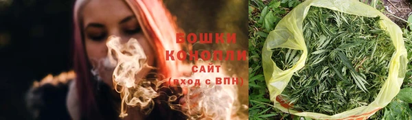 молекула духа Семёнов
