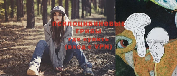 молекула духа Семёнов